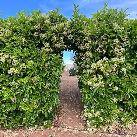 Βίλα A Corigliano D'otranto